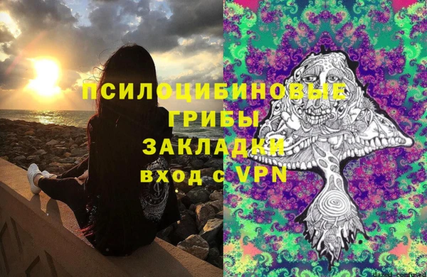 марки lsd Ельня